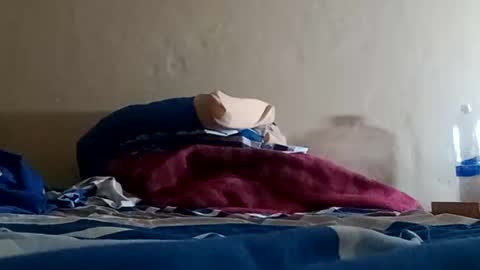 Sebastin online show from January 5, 2025, 7:17 am