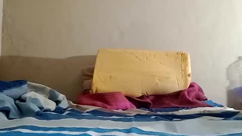 Sebastin online show from October 31, 2025, 10:16 am