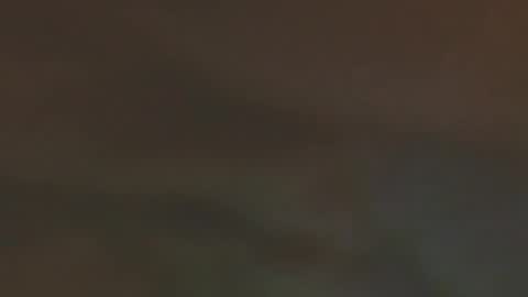 ela_3611 online show from February 1, 2026, 4:33 am