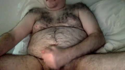 elabear online show from March 17, 2026, 4:39 am