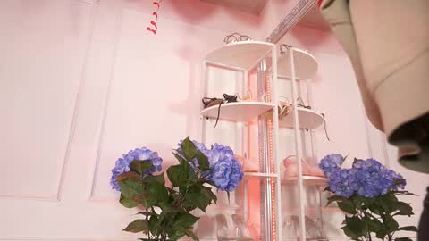 Elasummeer online show from February 14, 2026, 11:51 am