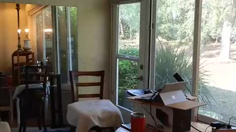 Snapshot of eliberator chatting on December 21, 2025, 4:58 pm eliberator online show from December 21, 2025, 4:58 pm