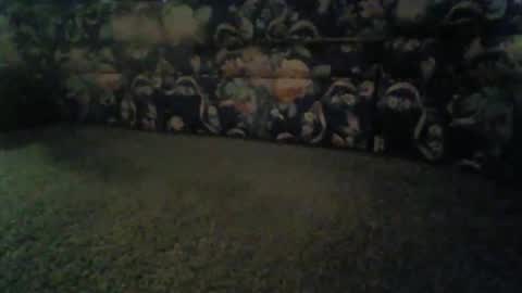 Snapshot of elitehoncho chatting on November 13, 2025, 8:46 am jeff online show from November 13, 2025, 8:46 am