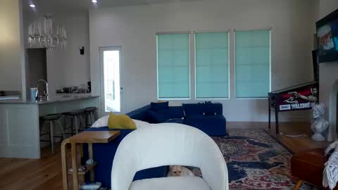 Liz online show from November 13, 2025, 7:46 pm