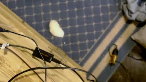 elizabeth_aron online show from March 29, 2026, 8:03 am