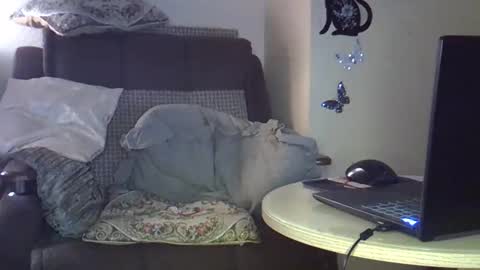 Snapshot of ellajohnsonx chatting on March 15, 2026, 9:32 pm ellajohnsonx online show from March 15, 2026, 9:32 pm