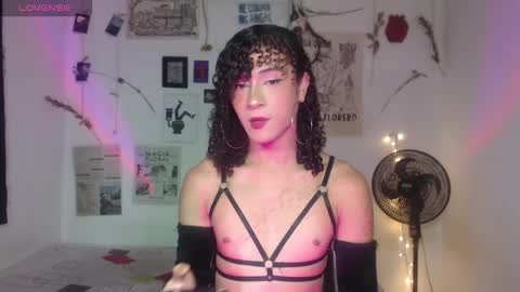  . online show from December 18, 2025, 3:07 pm