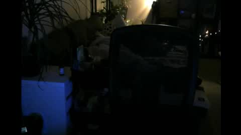 ElMetaTeDa online show from March 9, 2026, 2:48 am