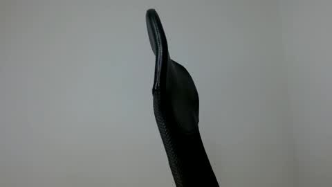 elosocazador online show from October 14, 2025, 12:06 pm