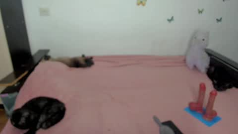 Elsa online show from May 1, 2026, 6:23 pm