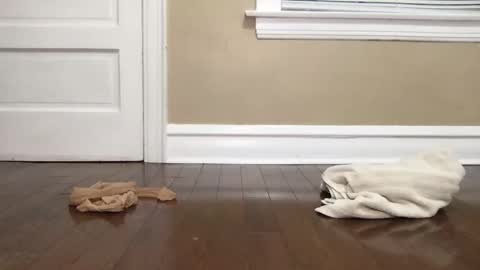 Bi Bro online show from October 15, 2025, 4:56 am