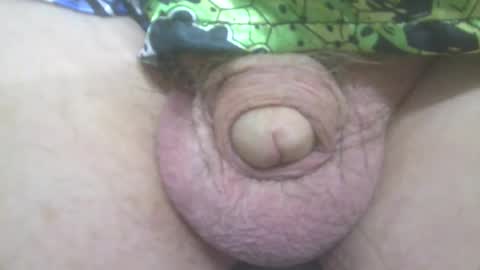 Snapshot of elvisandme chatting on March 12, 2025, 12:31 am elvisandme online show from March 12, 2025, 12:31 am