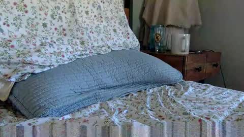 Snapshot of elviscash chatting on April 9, 2026, 1:16 pm elviscash online show from April 9, 2026, 1:16 pm