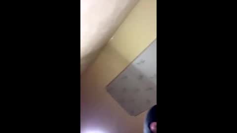 Snapshot of emillycutemurr_ chatting on October 14, 2025, 8:20 pm Emily online show from October 14, 2025, 8:20 pm