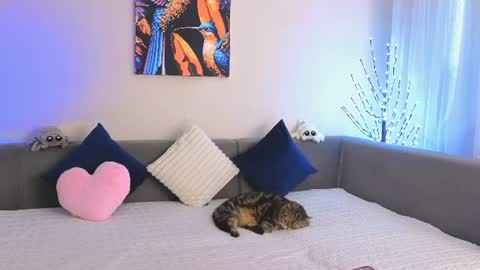 Emily Heels online show from June 18, 2026, 11:47 am