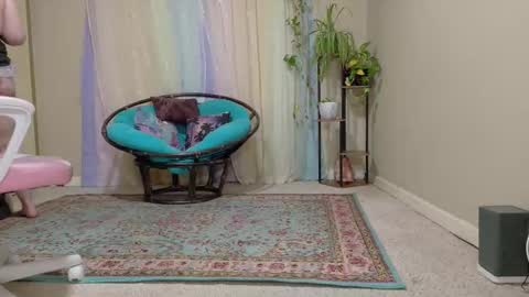 Snapshot of emilyshaze chatting on October 24, 2025, 6:26 pm emily haze online show from October 24, 2025, 6:26 pm