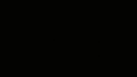 Emilly Willis online show from January 12, 2025, 6:17 am