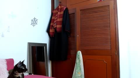 Snapshot of emilyzans07 chatting on February 1, 2025, 8:16 pm emilyzans07 online show from February 1, 2025, 8:16 pm