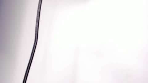 Alice online show from March 27, 2026, 10:59 am