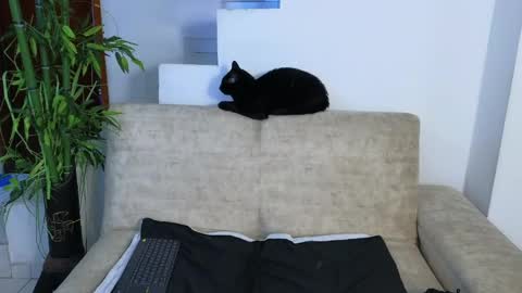 Snapshot of emma_blue_ chatting on April 22, 2026, 3:53 am Emma Blue modelo independiente online show from April 22, 2026, 3:53 am