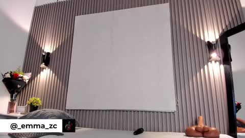 Snapshot of emmazc_ chatting on October 10, 2025, 8:19 pm emmazc_ online show from October 10, 2025, 8:19 pm