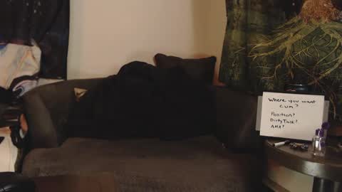 Brad Ryan online show from January 24, 2025, 11:15 am