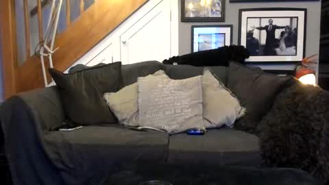 englishcouple81 online show from March 13, 2026, 11:33 pm