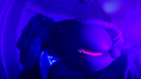 Erotic  Kryptonite online show from February 23, 2026, 2:03 pm