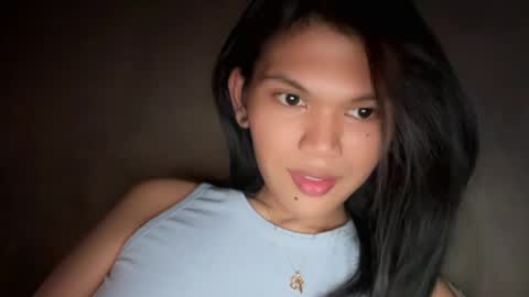 Snapshot of esilchan chatting on April 13, 2026, 8:53 am Chelliane online show from April 13, 2026, 8:53 am