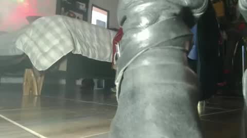 Snapshot of eskelaswd chatting on October 6, 2025, 7:44 pm Eskela911 online show from October 6, 2025, 7:44 pm