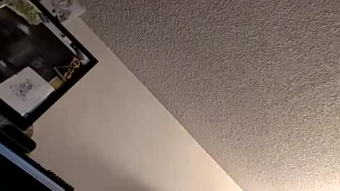 et528007 online show from November 7, 2025, 5:07 am