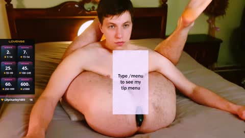 Snapshot of ethan7inches chatting on January 21, 2025, 2:33 am Ethan online show from January 21, 2025, 2:33 am