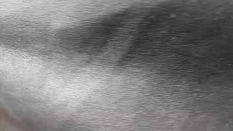 greetings  sergi  online show from November 30, 2025, 6:56 pm