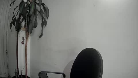 evacollins12 online show from December 9, 2024, 1:40 am