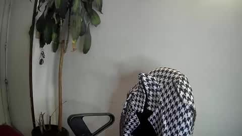 evacollins12 online show from January 7, 2025, 3:46 am