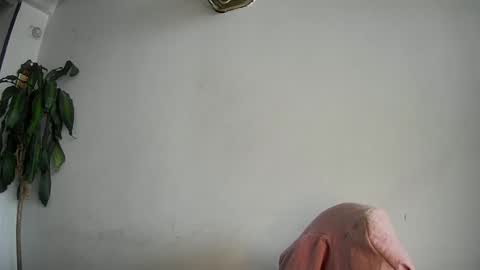 evacollins12 online show from February 15, 2025, 7:50 pm