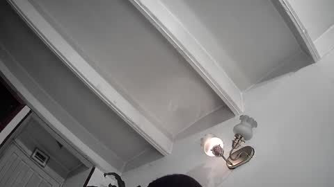 evacollins12 online show from February 25, 2025, 12:36 am