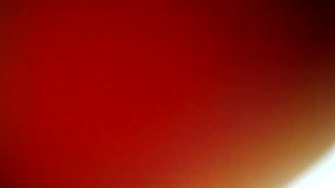 evangely online show from February 9, 2025, 11:36 am