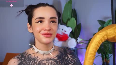 Eva online show from February 5, 2026, 2:16 am