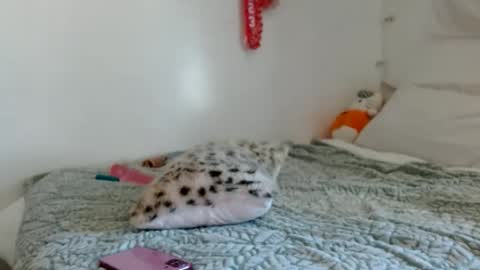 eveexxclusive online show from October 17, 2025, 8:33 pm