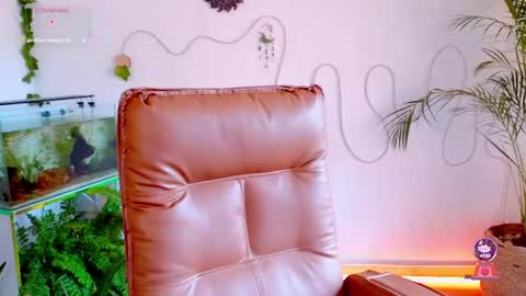 Snapshot of evelyn_chelle chatting on May 4, 2026, 6:37 pm Im Eve or Chelle Next Stream 191224 online show from May 4, 2026, 6:37 pm