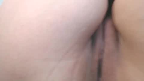 Snapshot of evelyn_sheeran chatting on April 15, 2026, 5:36 am Julieta online show from April 15, 2026, 5:36 am