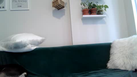 Snapshot of evillers1 chatting on September 22, 2025, 8:55 pm Badblondebunny online show from September 22, 2025, 8:55 pm