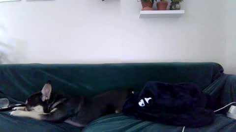 Snapshot of evillers1 chatting on October 27, 2025, 11:41 pm Badblondebunny online show from October 27, 2025, 11:41 pm