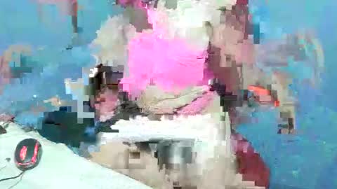 exotic_beautyxox online show from April 23, 2026, 12:40 pm