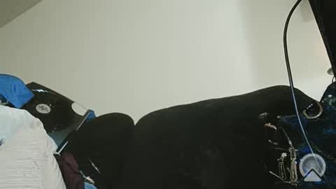 Exoticlexxii online show from February 14, 2026, 7:27 am