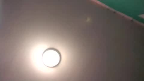 experttreecompany online show from February 17, 2026, 9:54 pm