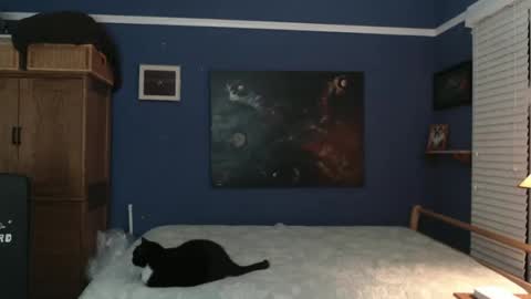 Tommy Rose online show from December 26, 2024, 4:53 am