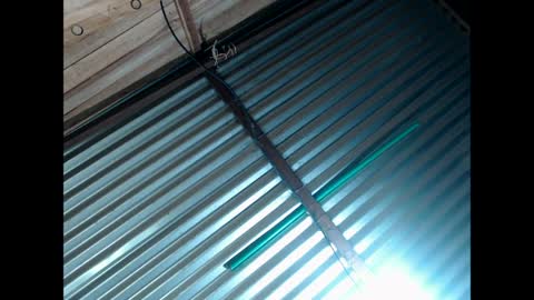 exxclusivo online show from March 30, 2026, 6:14 am