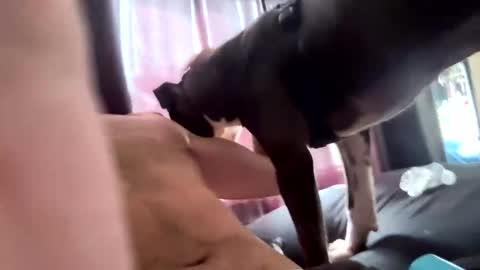 Snapshot of eyesonmichaza chatting on October 10, 2025, 4:28 pm MichazaXO online show from October 10, 2025, 4:28 pm